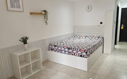 Newly Renovate | Rented Studio | High ROI